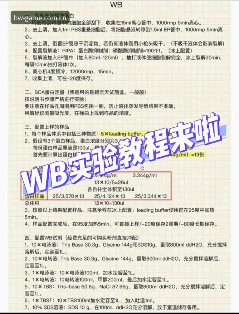 博万体育平台注册流程深度评测：解决BW体育注册教程常见问题的实战指南